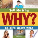 Spiders Weave Webs
